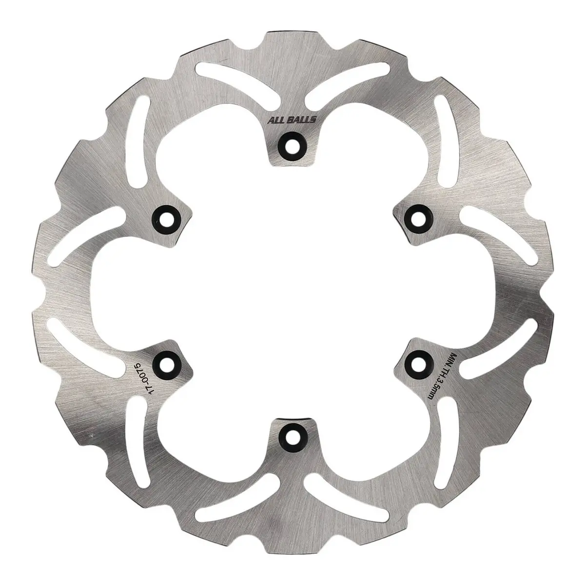 Brake Disc Rear – 18-0075 1