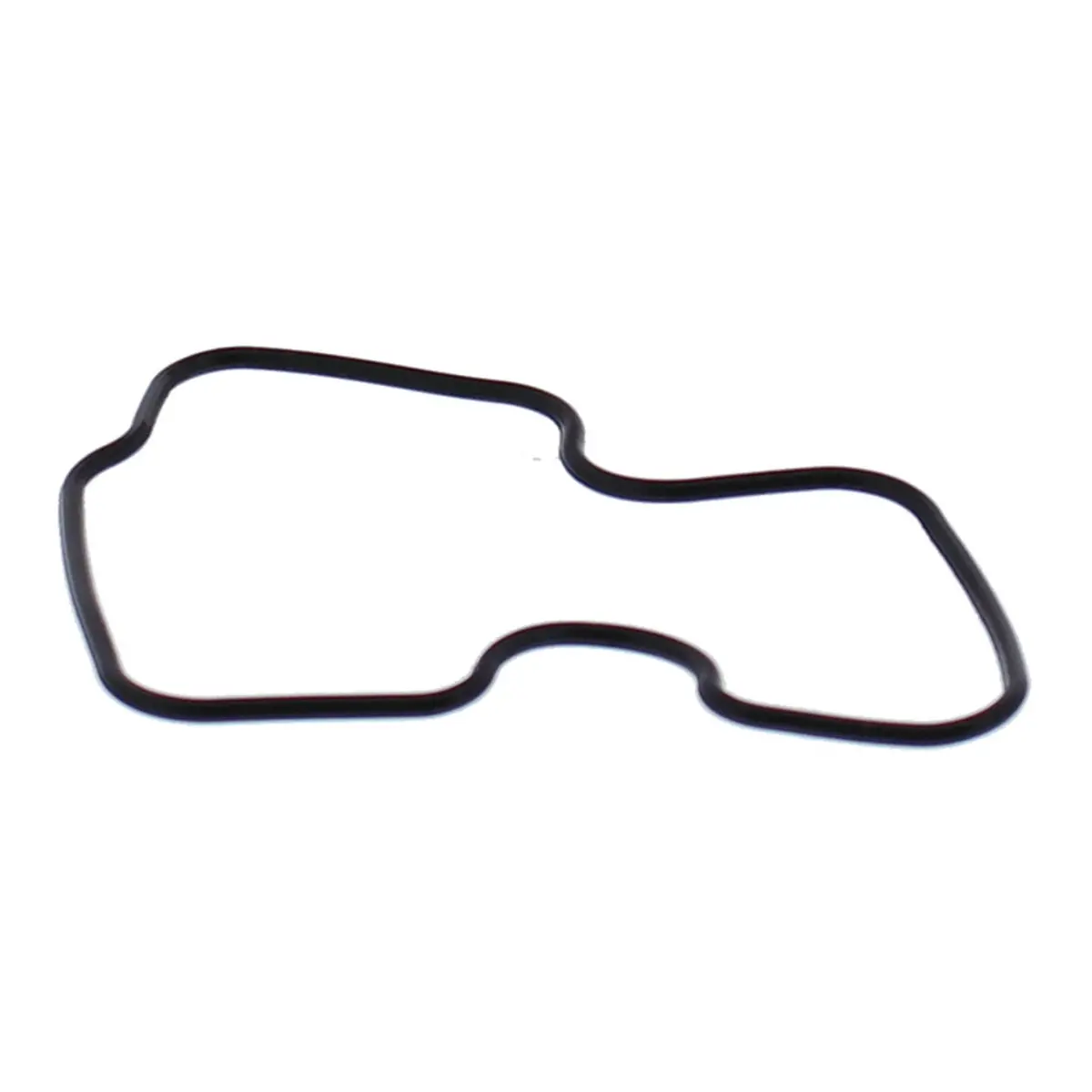 Float Bowl Gasket – 46-5024 1