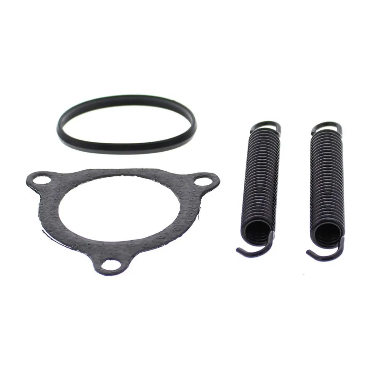 Exhaust Gasket Kit 823187 1