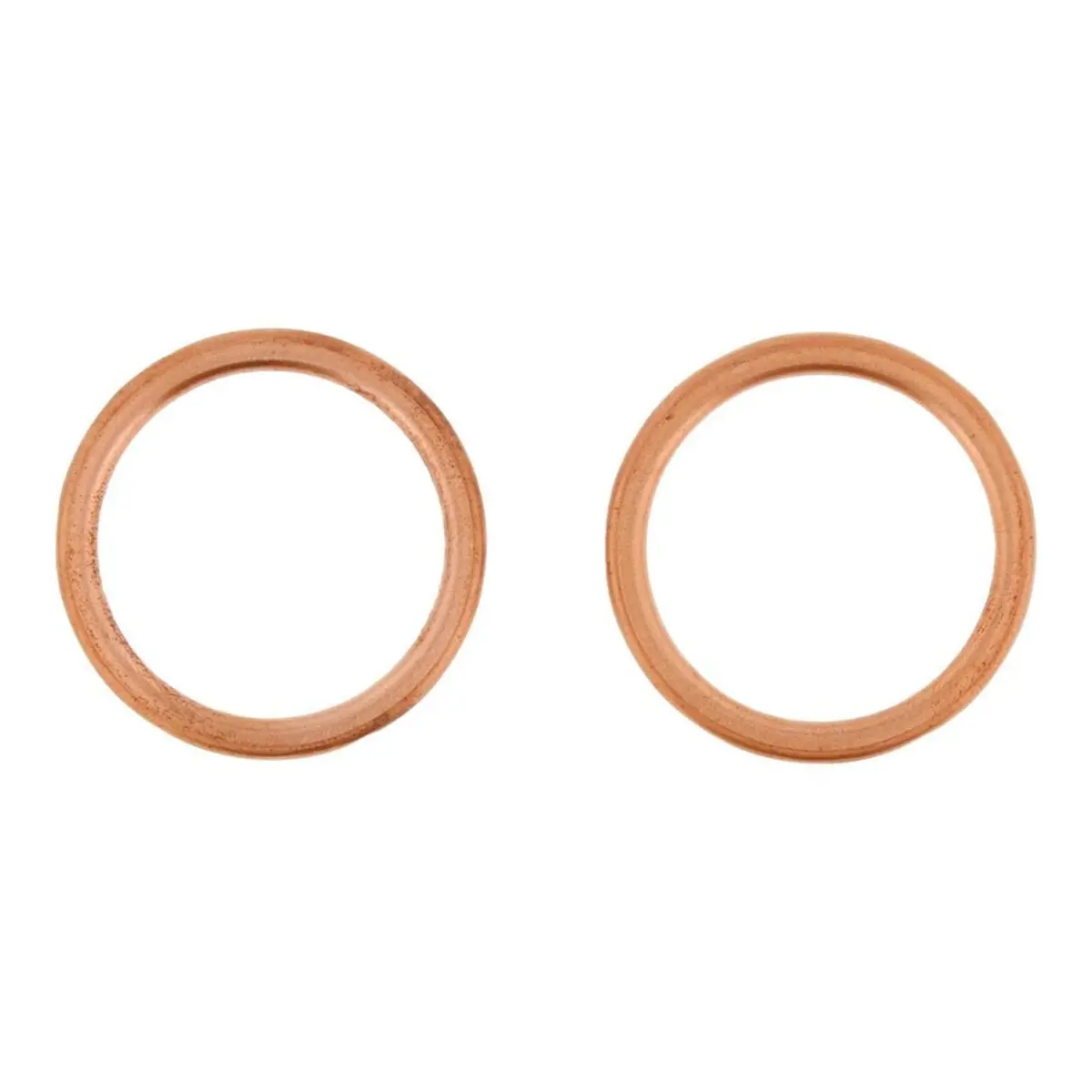 Exhaust Gasket Kit 823199 1