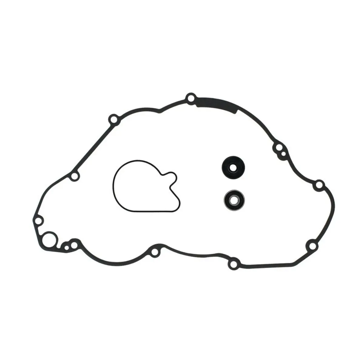Water Pump Rebuild Kit 821008 1