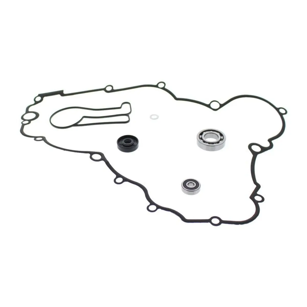 Water Pump Rebuild Kit 821976 1