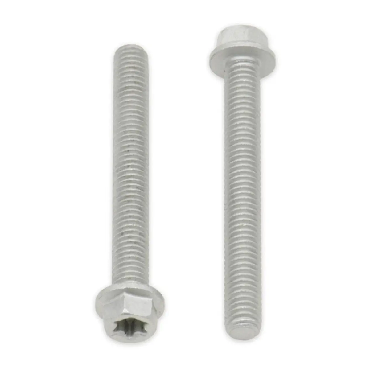 Bolt Euro Torx 6X25mm Flange Bolt (Packet Of 10) Refill 1