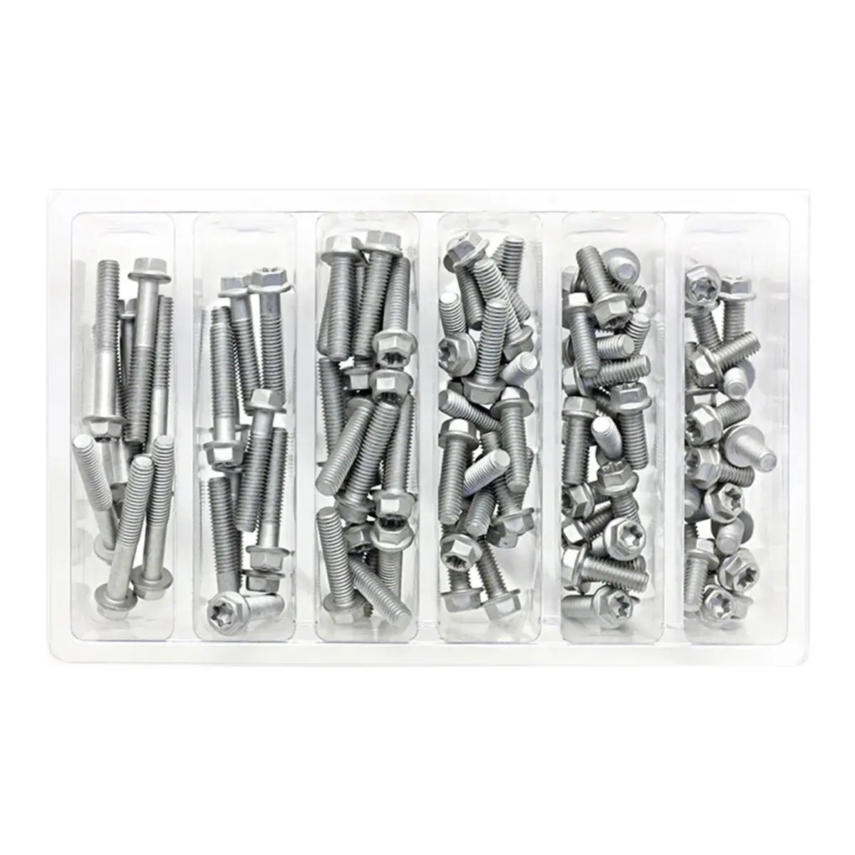 Bolt Workshop Service Kit: M6 Euro Torx Bolt 1