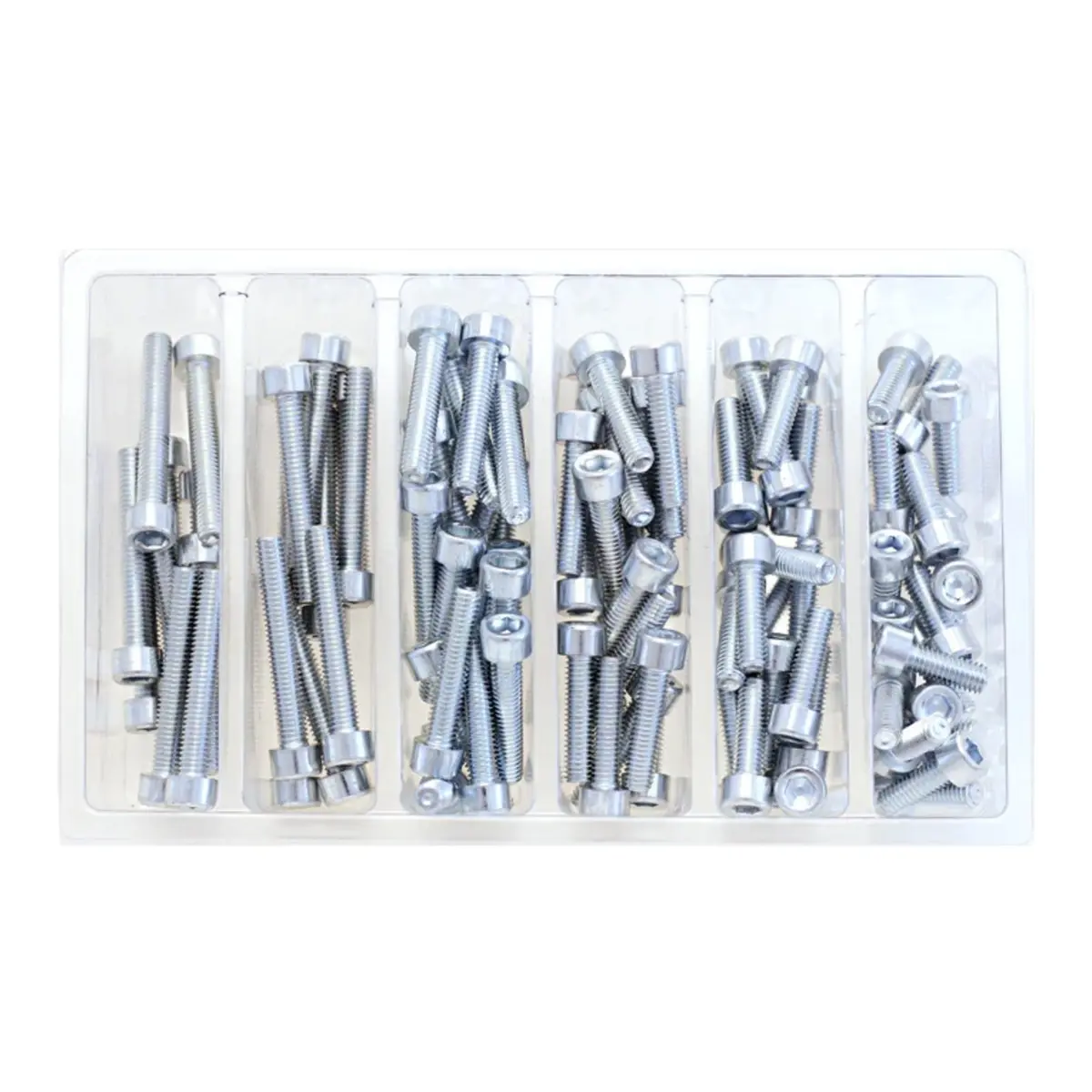 Bolt Workshop Service Kit: M6 Socket Head Allen 1