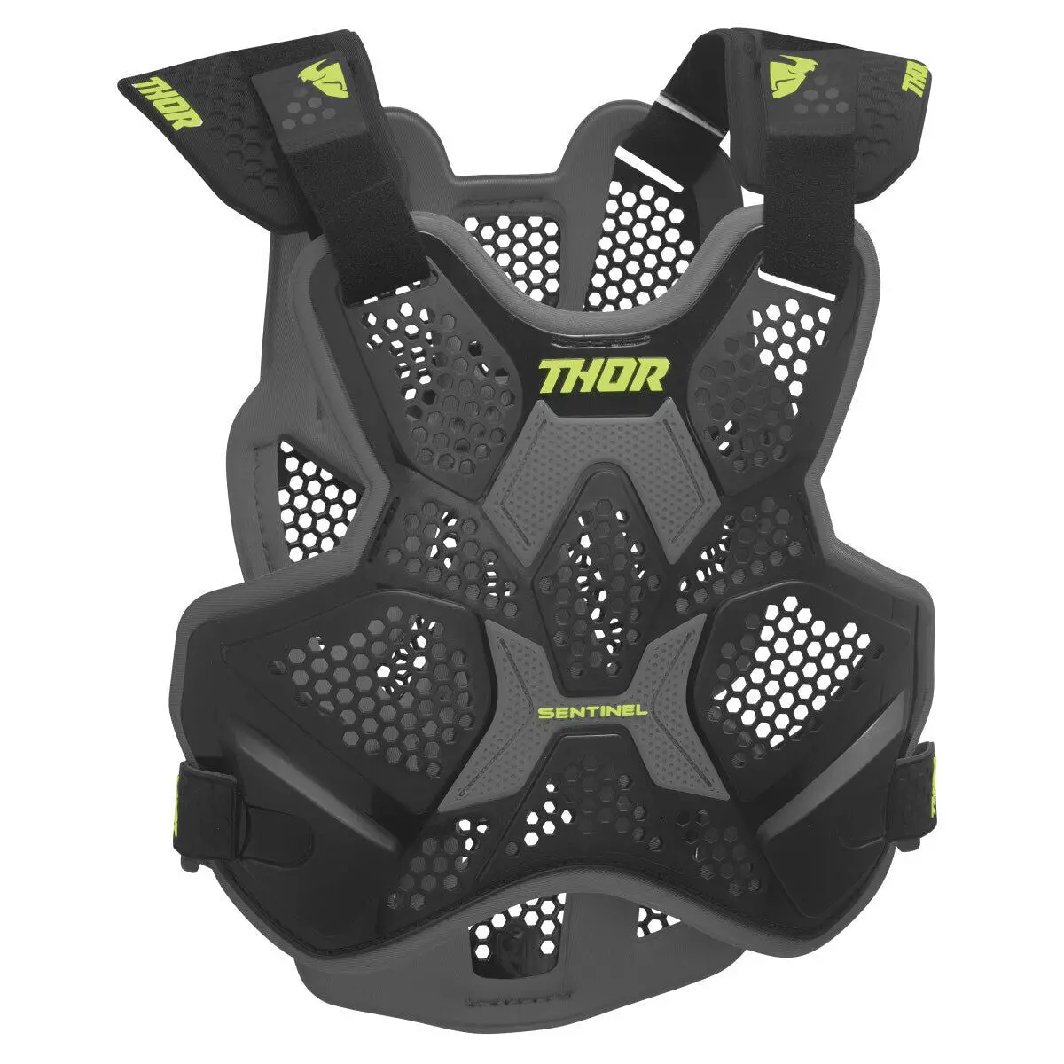 Thor 2024 Sentinel Ltd Black Roost Guard 1