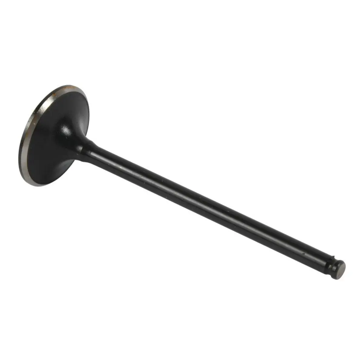 Hot Cams Valve Exhaust - Steel 1