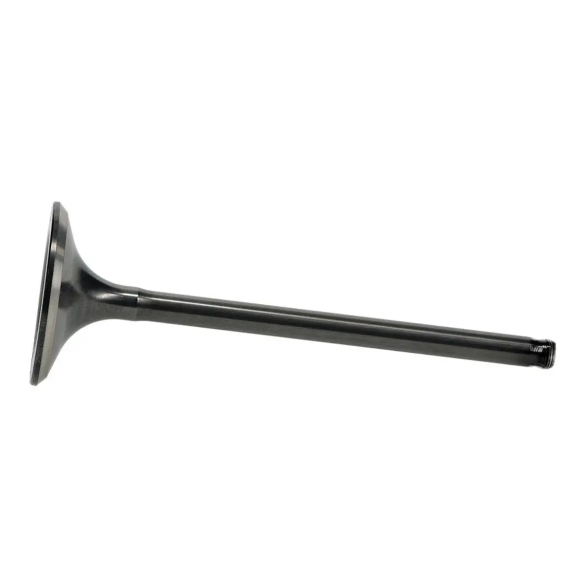 Hot Cams Valve Exhaust - Steel 1
