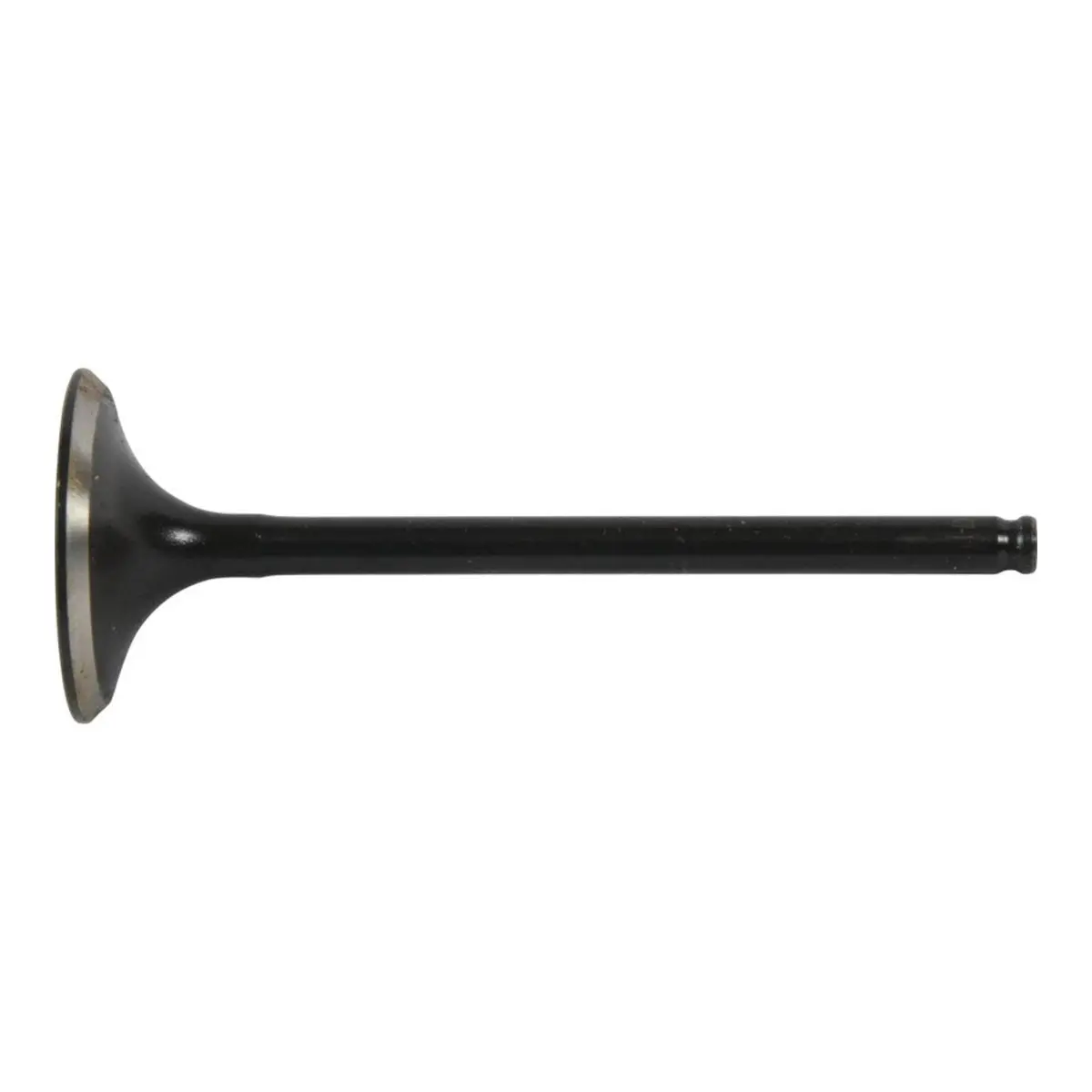 Hot Cams Valve Exhaust - Steel 1