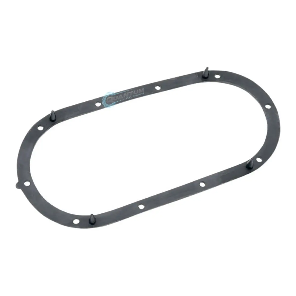 Quantum Fuel Pump Seal Gasket 1