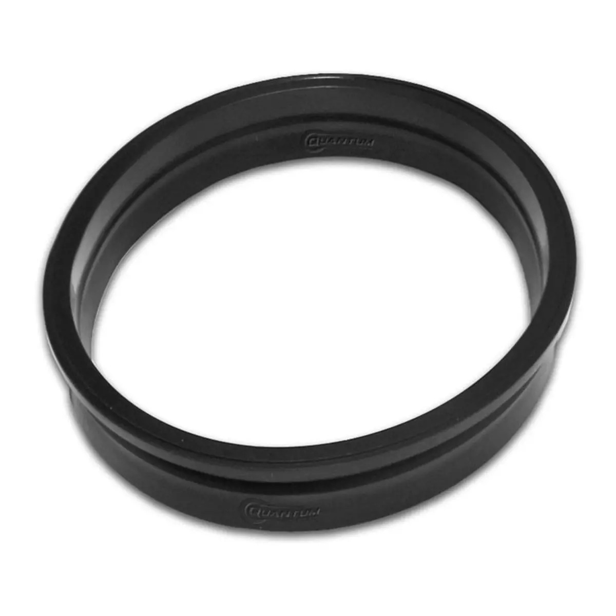 Quantum Fuel Pump Seal Gasket 1