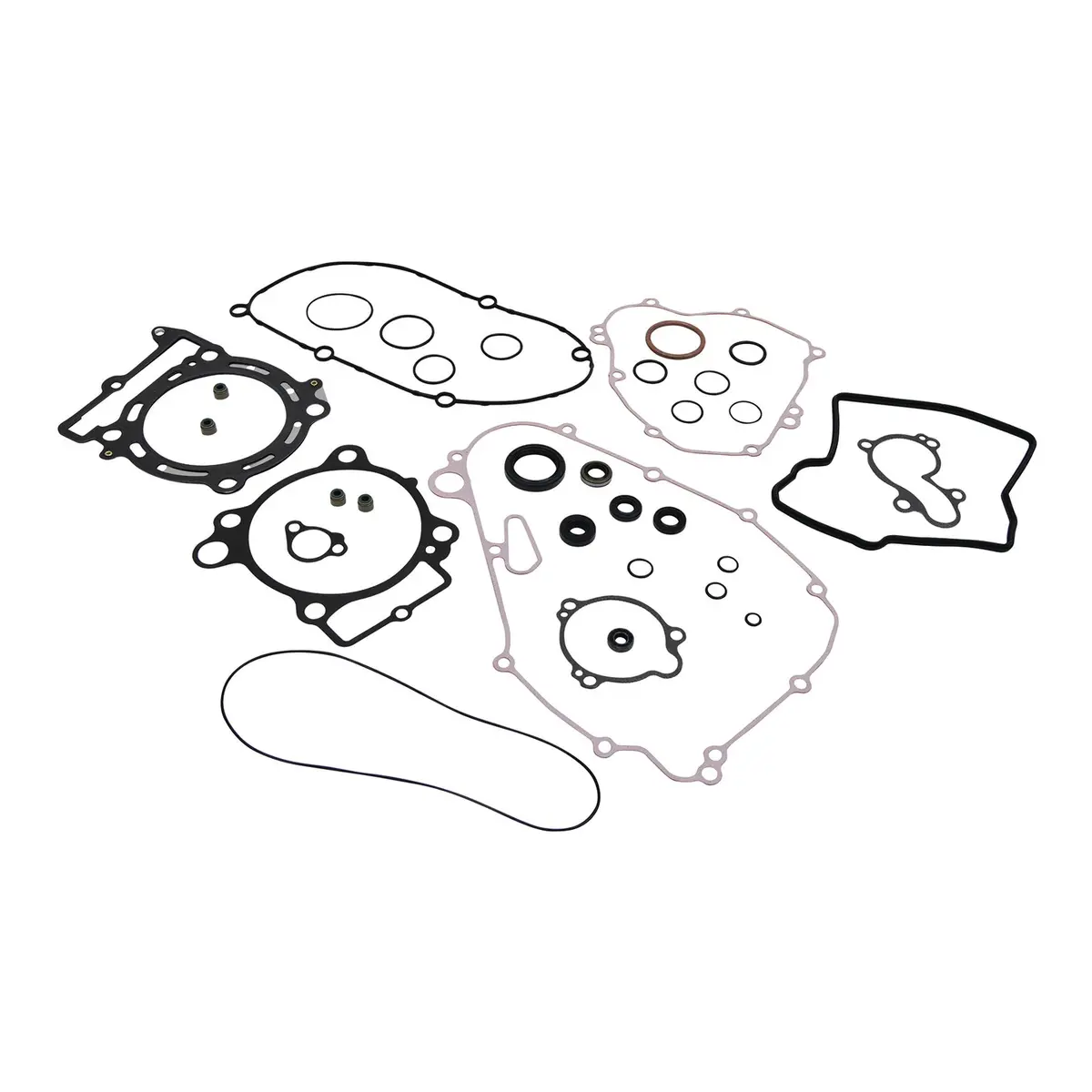 Complete Gasket Set With Oil Seals 8110027 1