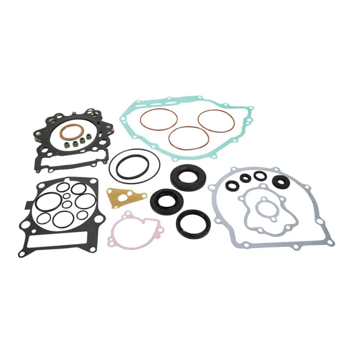Complete Gasket Set With Oil Seals 8110048 1