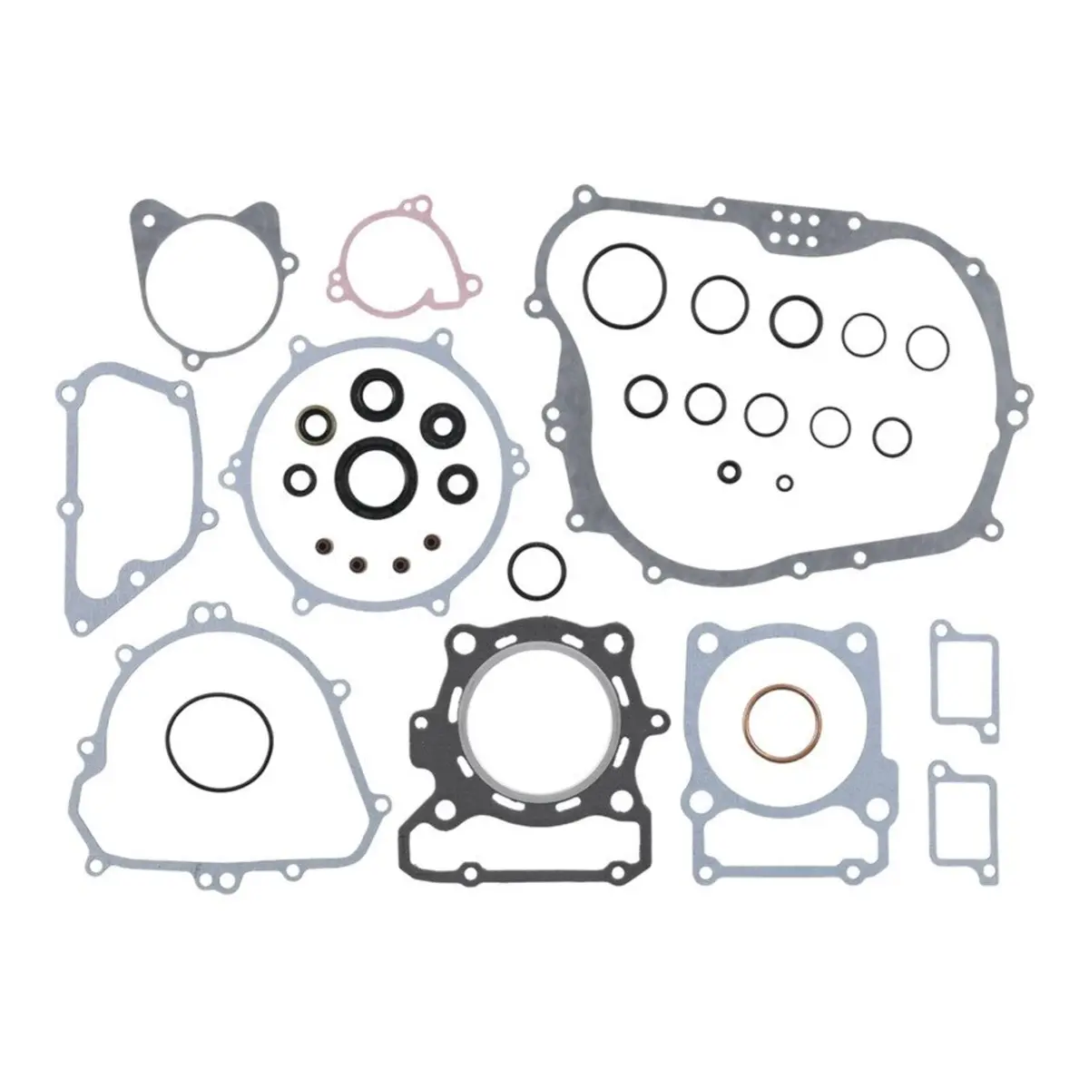 Complete Gasket Set With Oil Seals 8110071 1