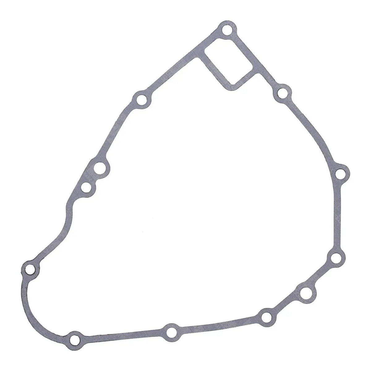 Ignition Cover Gasket Kit 816119 1