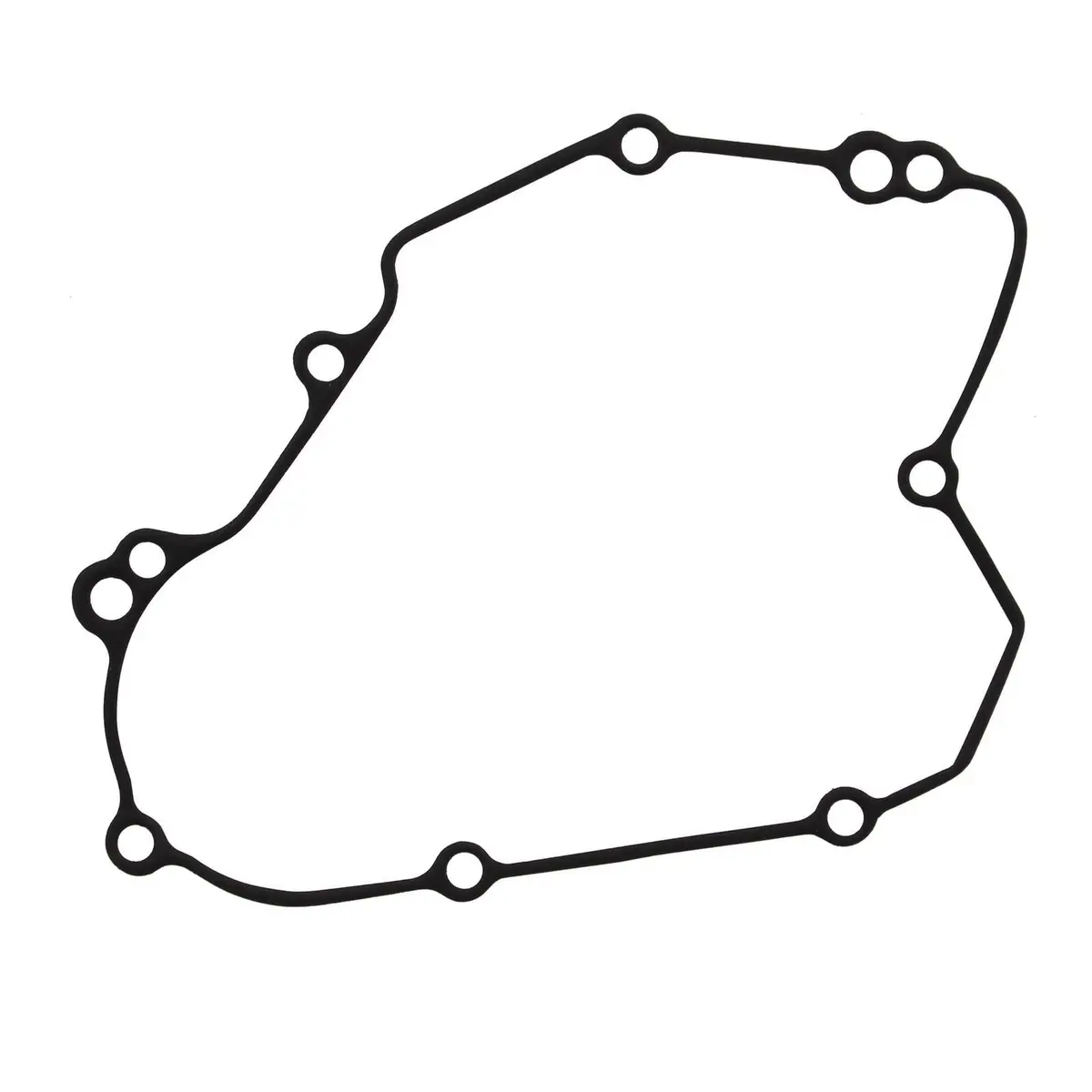 Ignition Cover Gasket Kit 816249 1