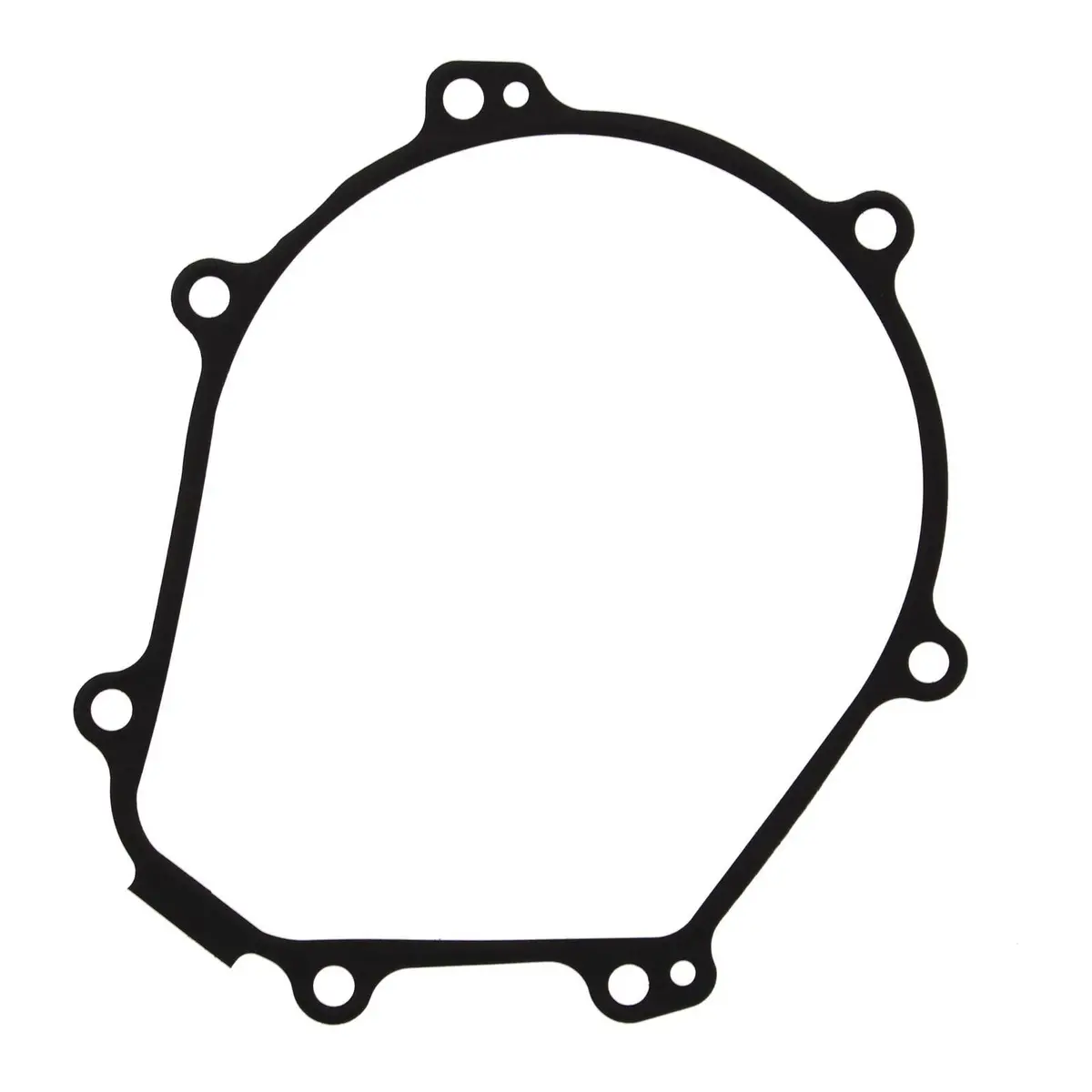 Ignition Cover Gasket Kit 816299 1