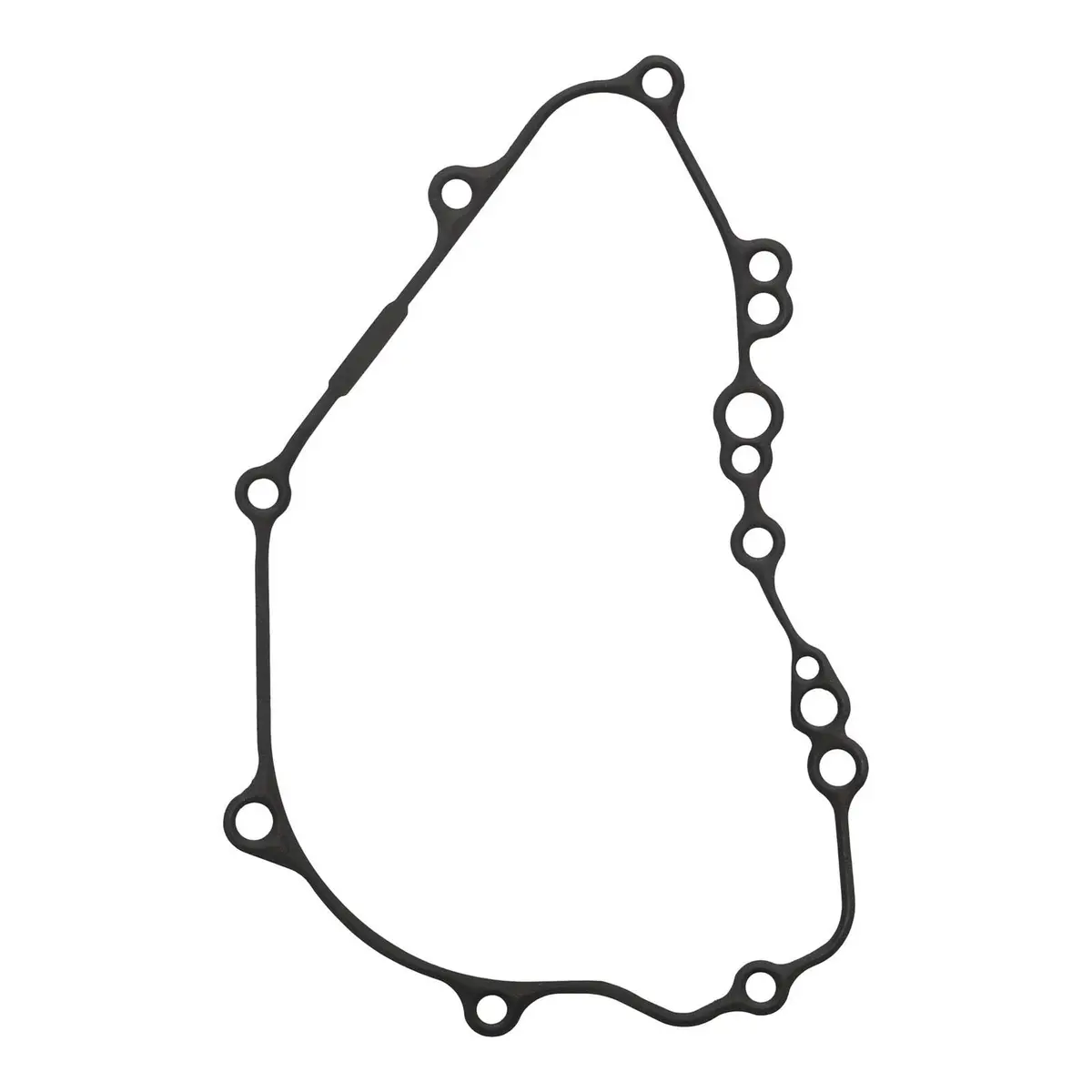 Ignition Cover Gasket Kit 816356 1