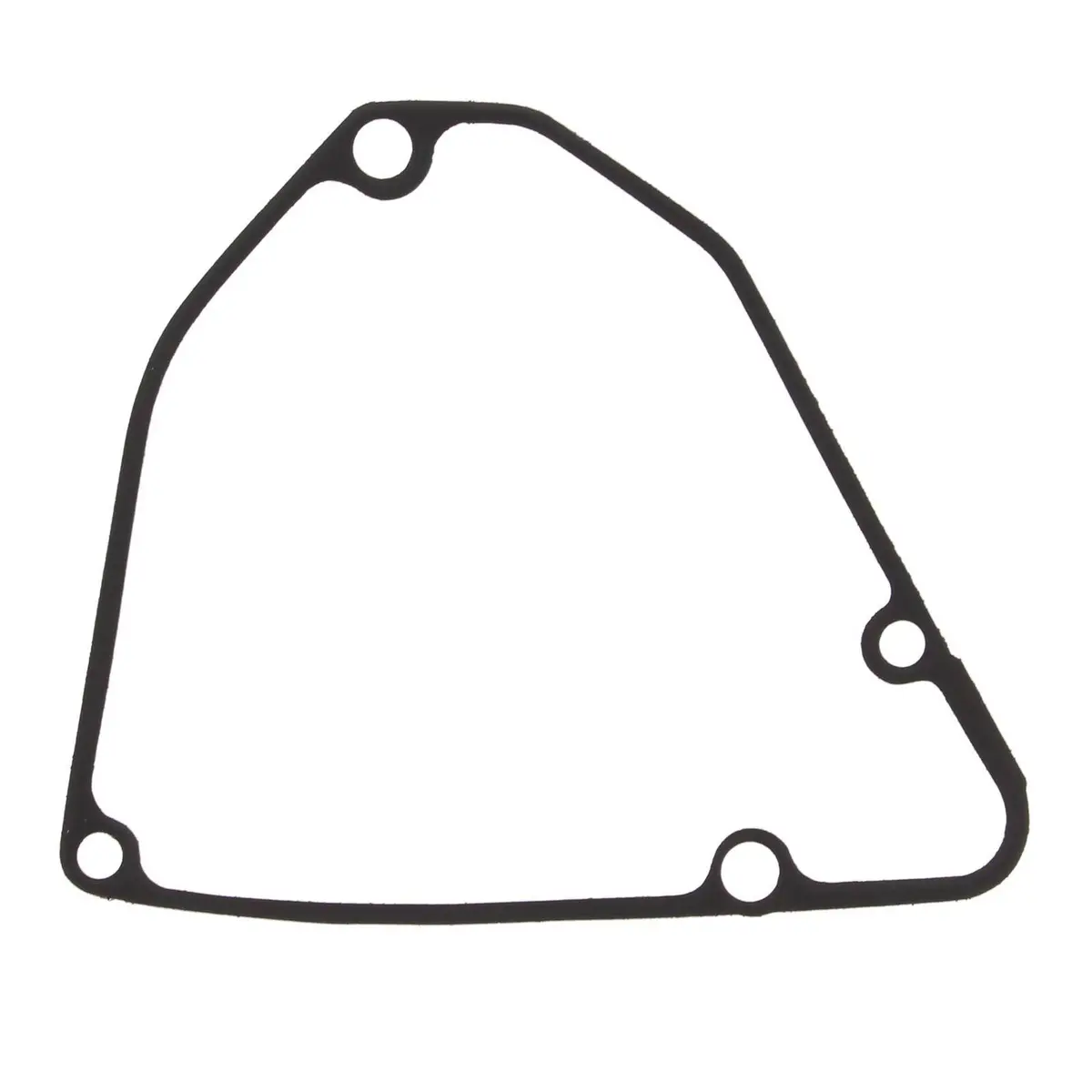 Ignition Cover Gasket Kit 816589 1