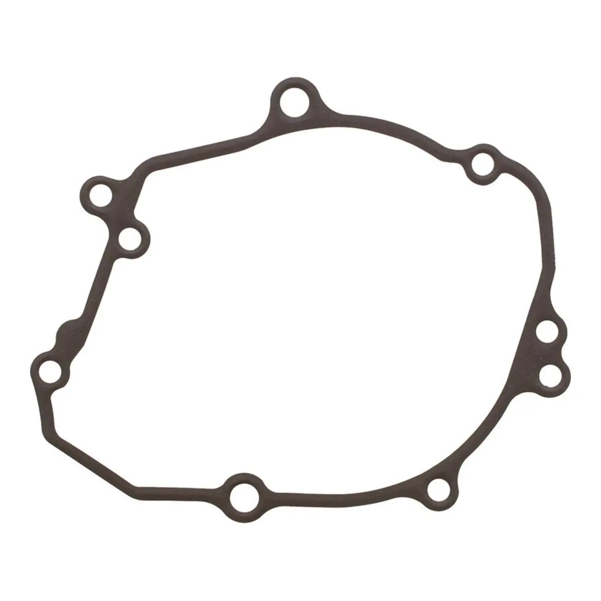 Ignition Cover Gasket Kit 816830 1
