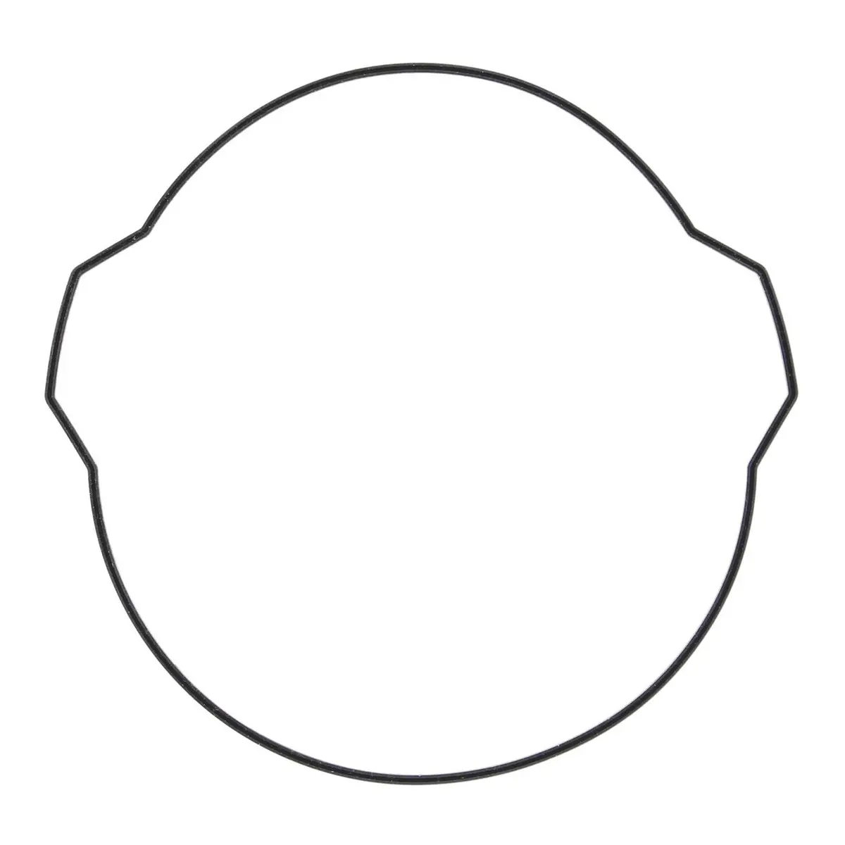 Outer Clutch Gasket Kit 817928 1