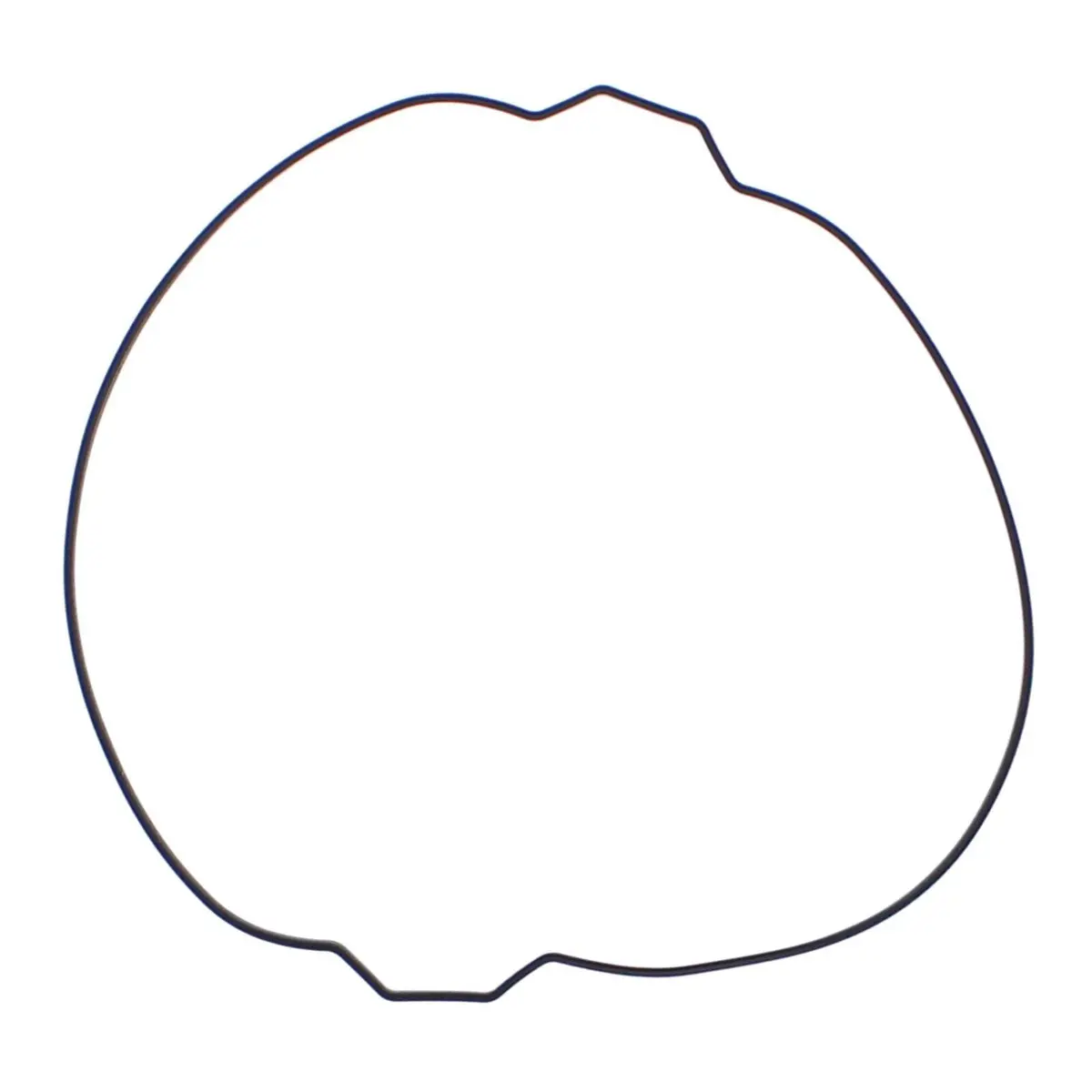 Outer Clutch Gasket Kit 819054 2