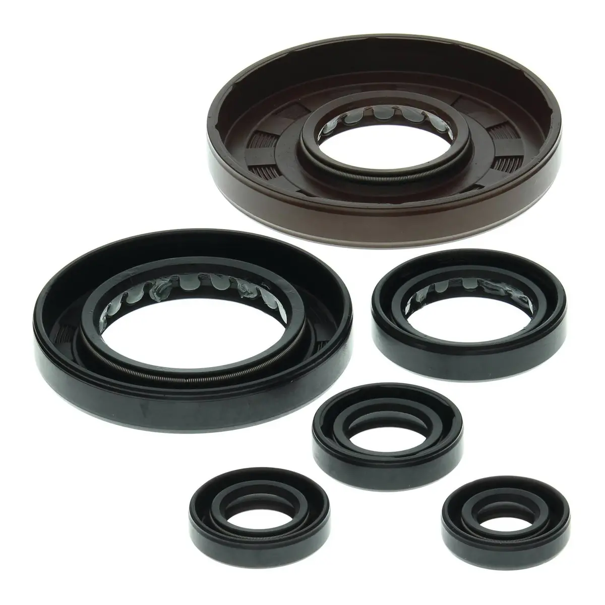 Oil Seal Kit 822209 1