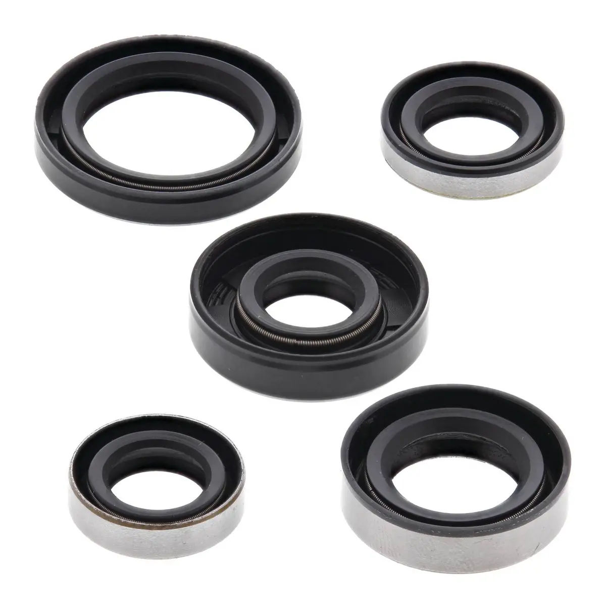 Oil Seal Kit 822216 1