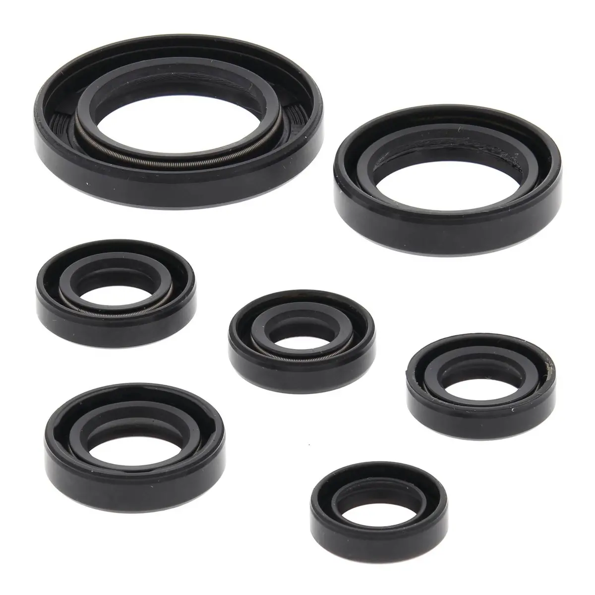 Oil Seal Kit 822311 1