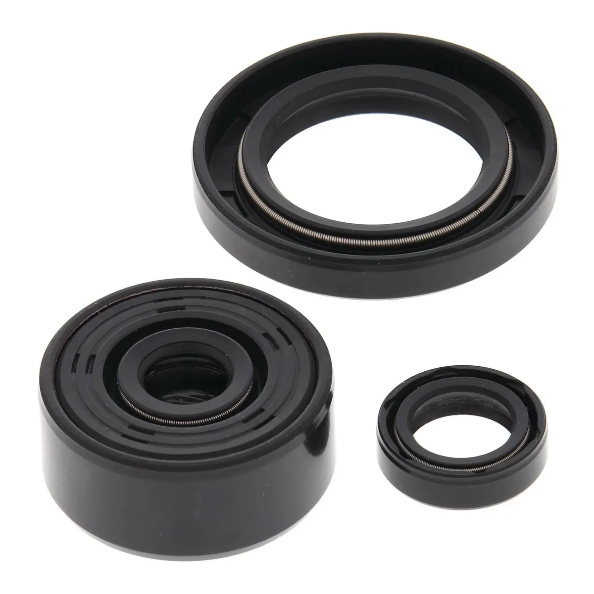Oil Seal Kit 822339 1