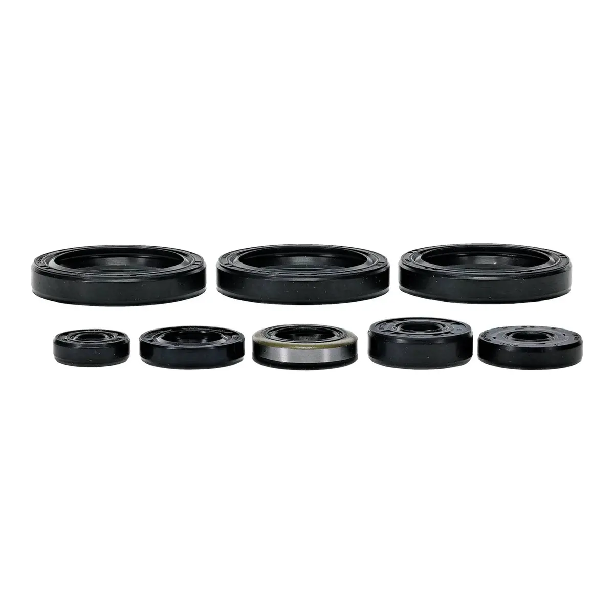 Oil Seal Kit 822403 1