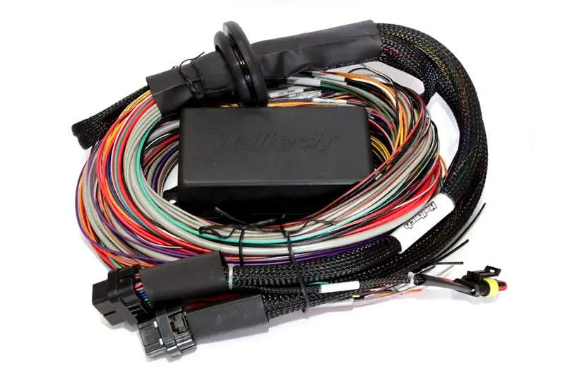 Haltech Elite 2500 & 2500T Ecu – 8-Foot Premium Universal Wiring Harness With Plug-And-Play Integration 1