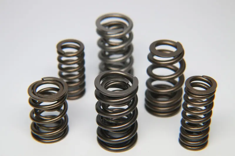 Ferrea Toyota 3Sgte 305Lbs Rate Inch Dual Valve Spring - Single 1